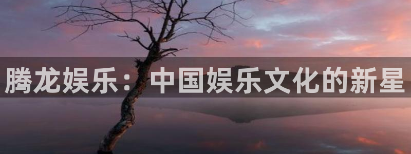 益达娱乐官网版：腾龙娱乐：中国娱乐文化的新星
