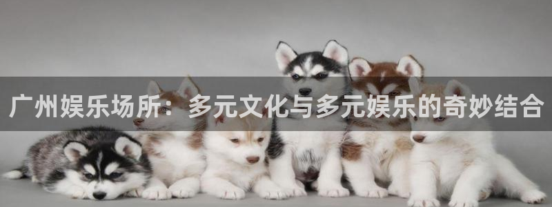 益达娱乐体育凯捷登陆：广州娱乐场所：多元文化与多元娱乐的奇妙结合