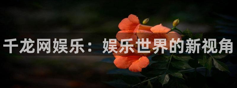 上海益达娱乐汽车电子有限公司：千龙网娱乐：娱乐世界的新视角