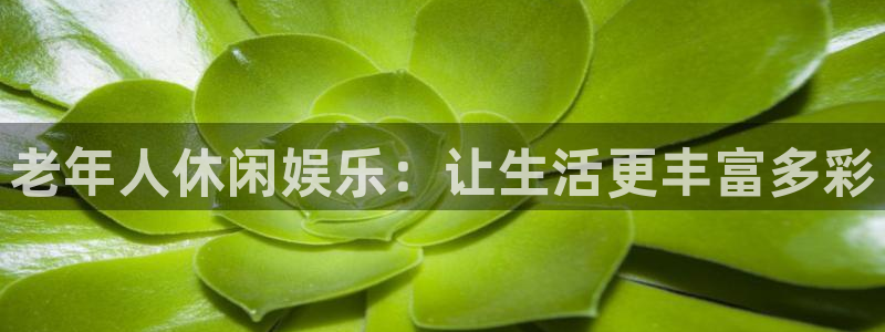 益达娱乐app最新版