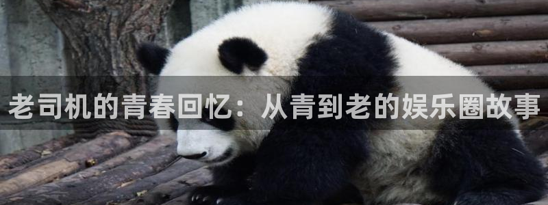 益达娱乐4开户：老司机的青春回忆：从青到老的娱乐圈故事