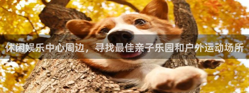 益达娱乐3平台注册：休闲娱乐中心周边，寻找最佳亲子乐园和户外运动场所