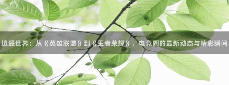 益达娱乐注册网站：逍遥世界：从《英雄联盟》到《王者荣耀》，电竞圈的最新动态与精彩