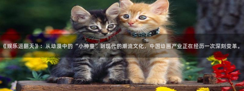 益达娱乐分红代理计划：《娱乐逗翻天》：从动漫中的“小神童”到现代的潮流文化，中国