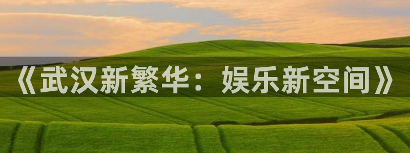 益达娱乐怎么下载：《武汉新繁华：娱乐新空间》