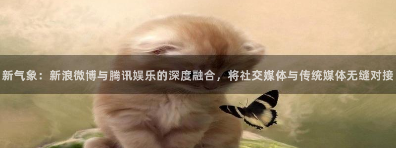 益达娱乐体育用品