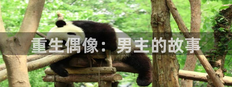 益达娱乐app注册地址：重生偶像：男主的故事