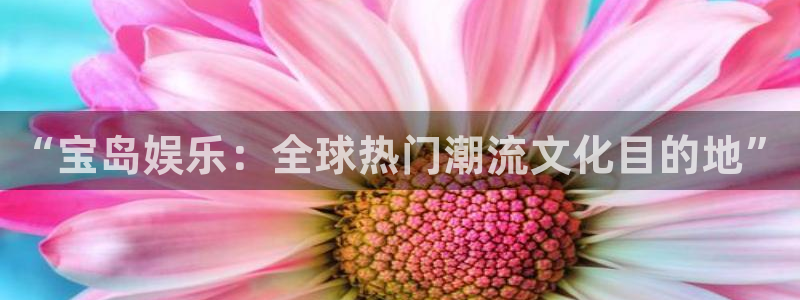 益达娱乐体育免费注册入口：“宝岛娱乐：全球热门潮流文化目的地”